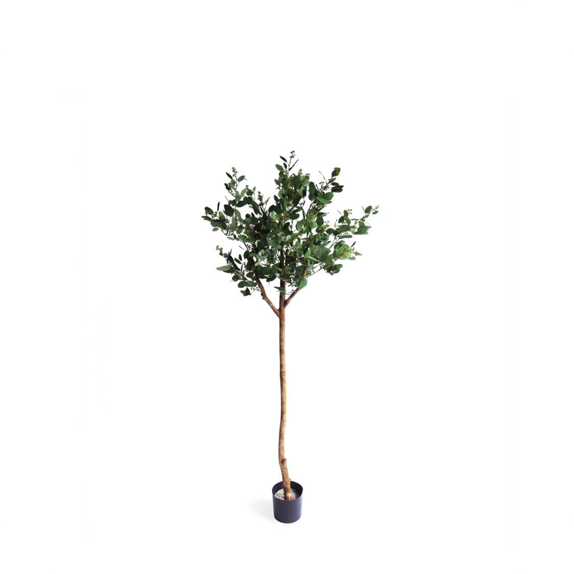 pollyanna-poppel-ball-potted-tree-with-beans-3860975